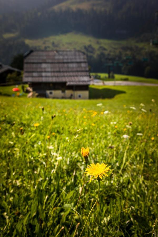 Ferienwohnung Schirla Stub'M Krispl Exteriör bild