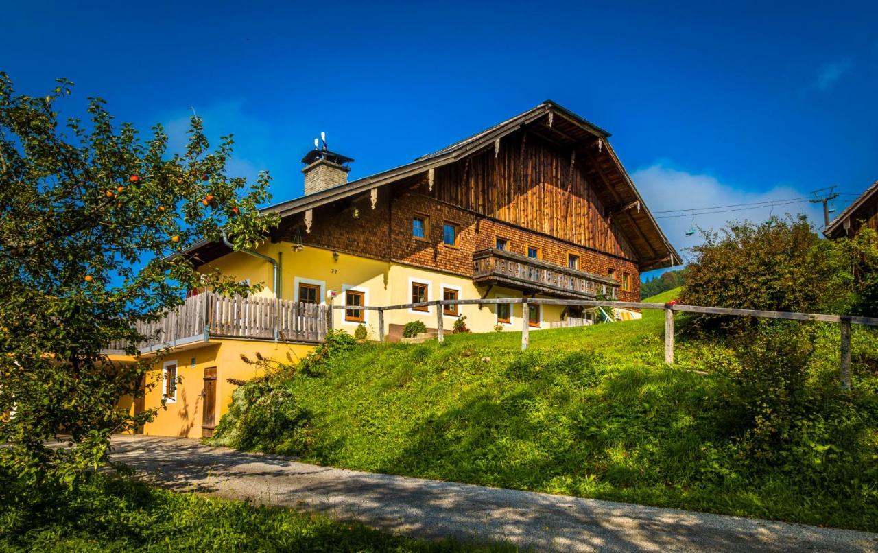 Ferienwohnung Schirla Stub'M Krispl Exteriör bild