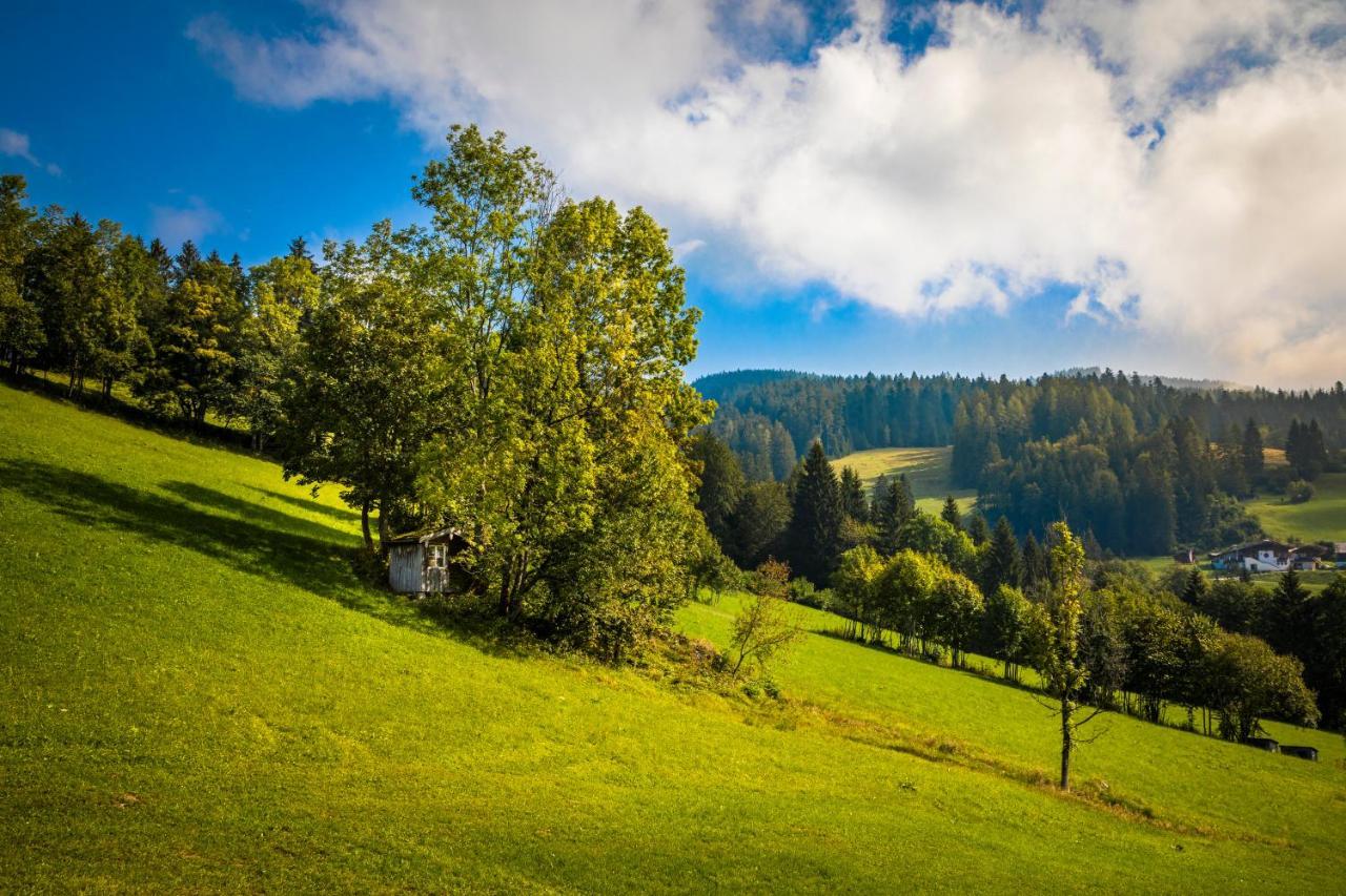 Ferienwohnung Schirla Stub'M Krispl Exteriör bild